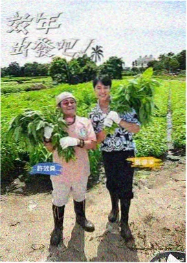 深夜食堂漫谈 综艺在线观看封面